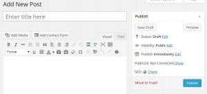 WordPress Publisher Area Publish Immediately option