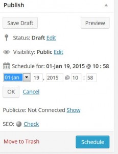 WordPress Publisher Area Schedule Publication option